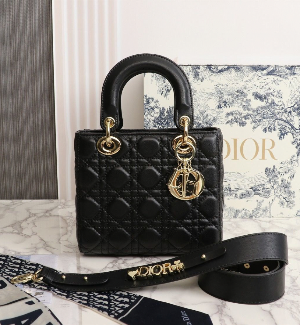 Bolsa Lady Dior