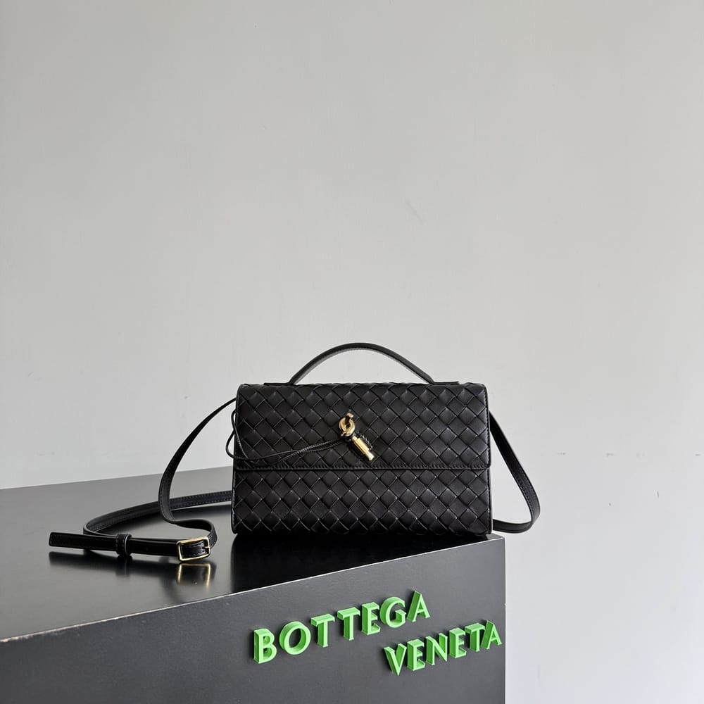Bottega Veneta Andiamo Clutch 25
