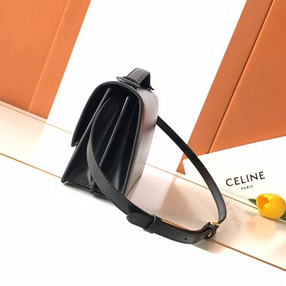 Celine Medium Triomphe Folio