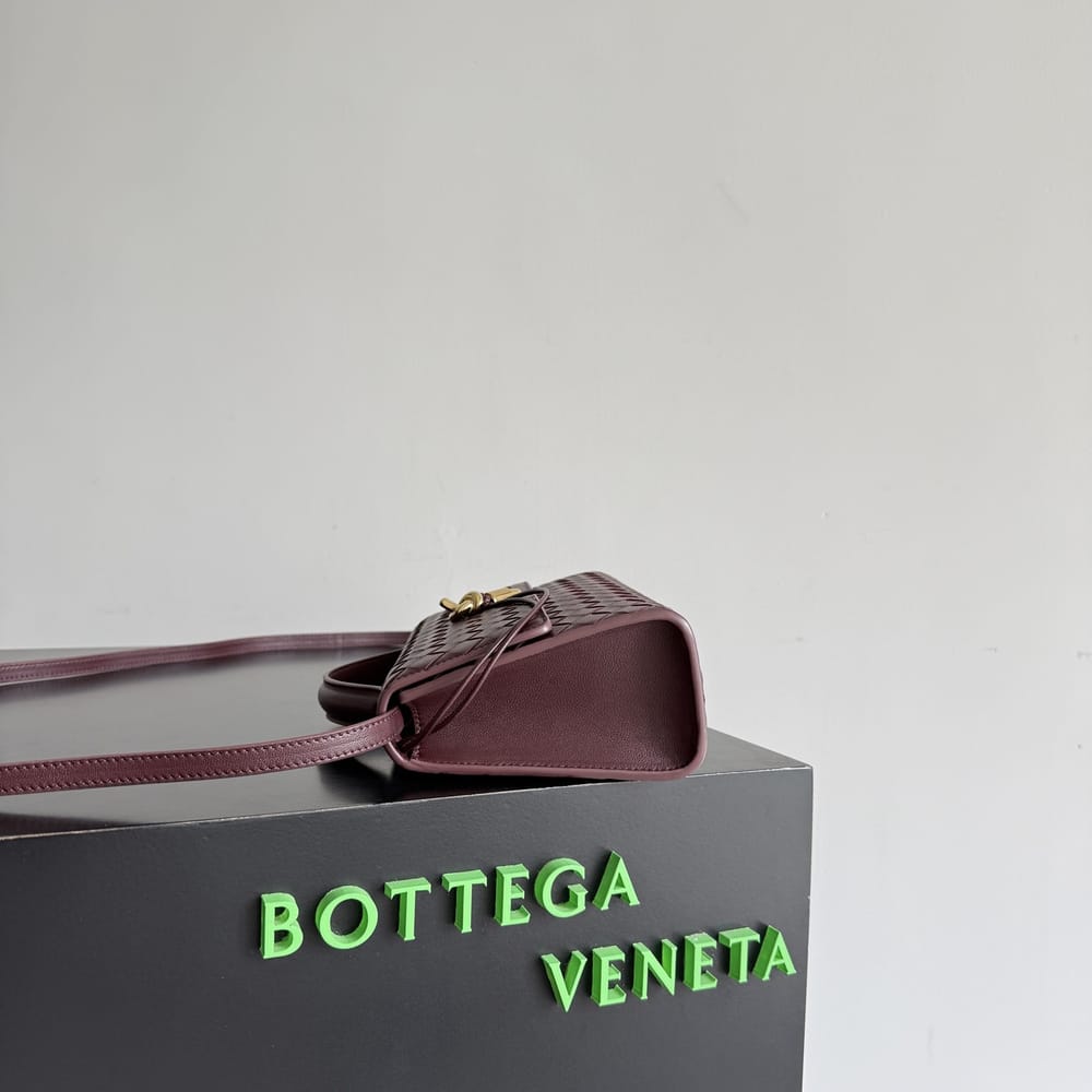 Bottega Veneta Andiamo Clutch 25