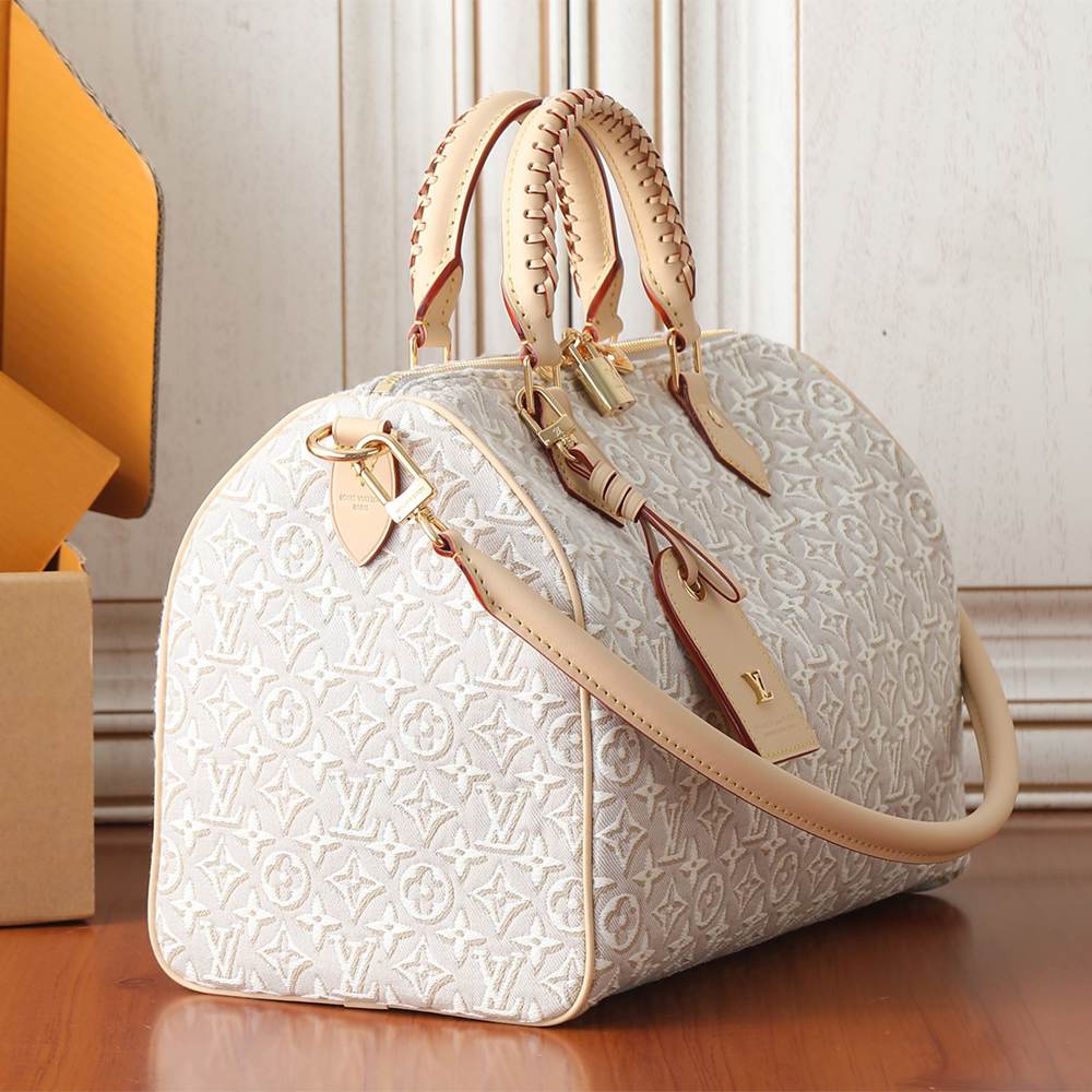 Louis Vuitton Speedy Soft 30