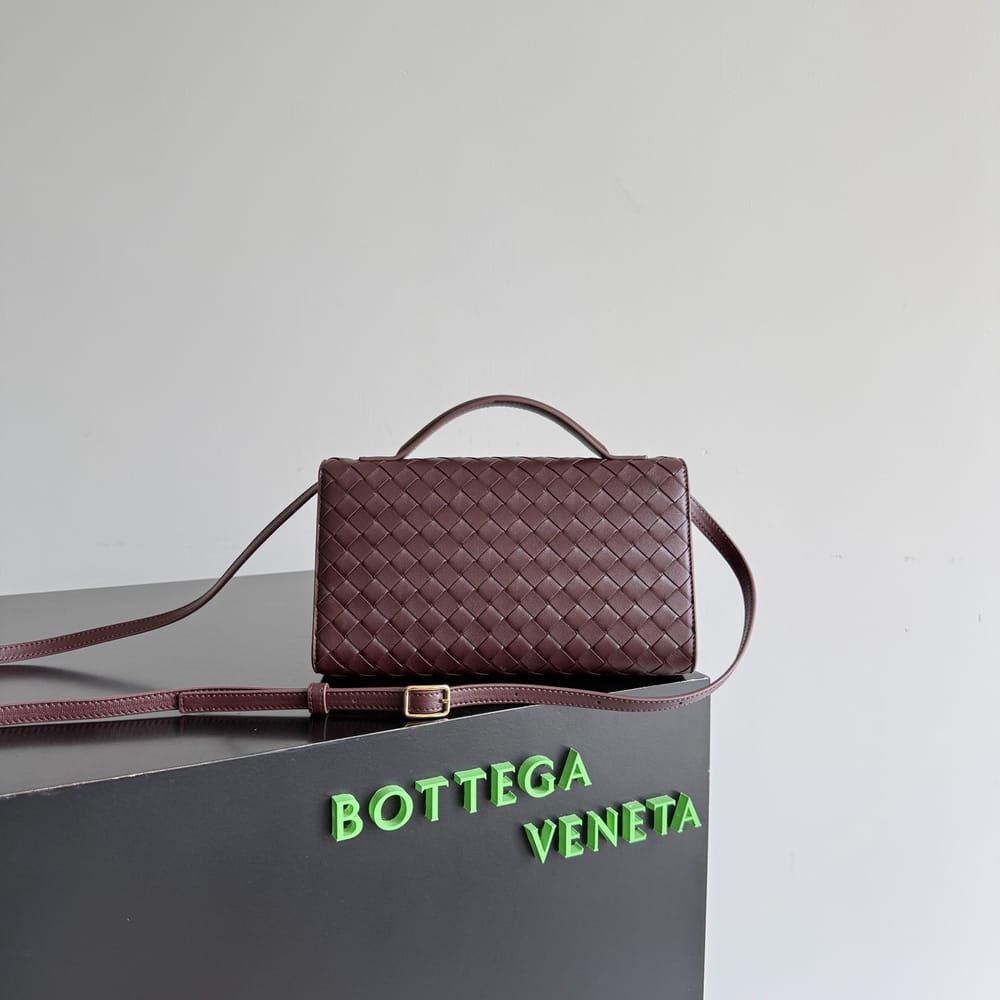 Bottega Veneta Andiamo Clutch 25