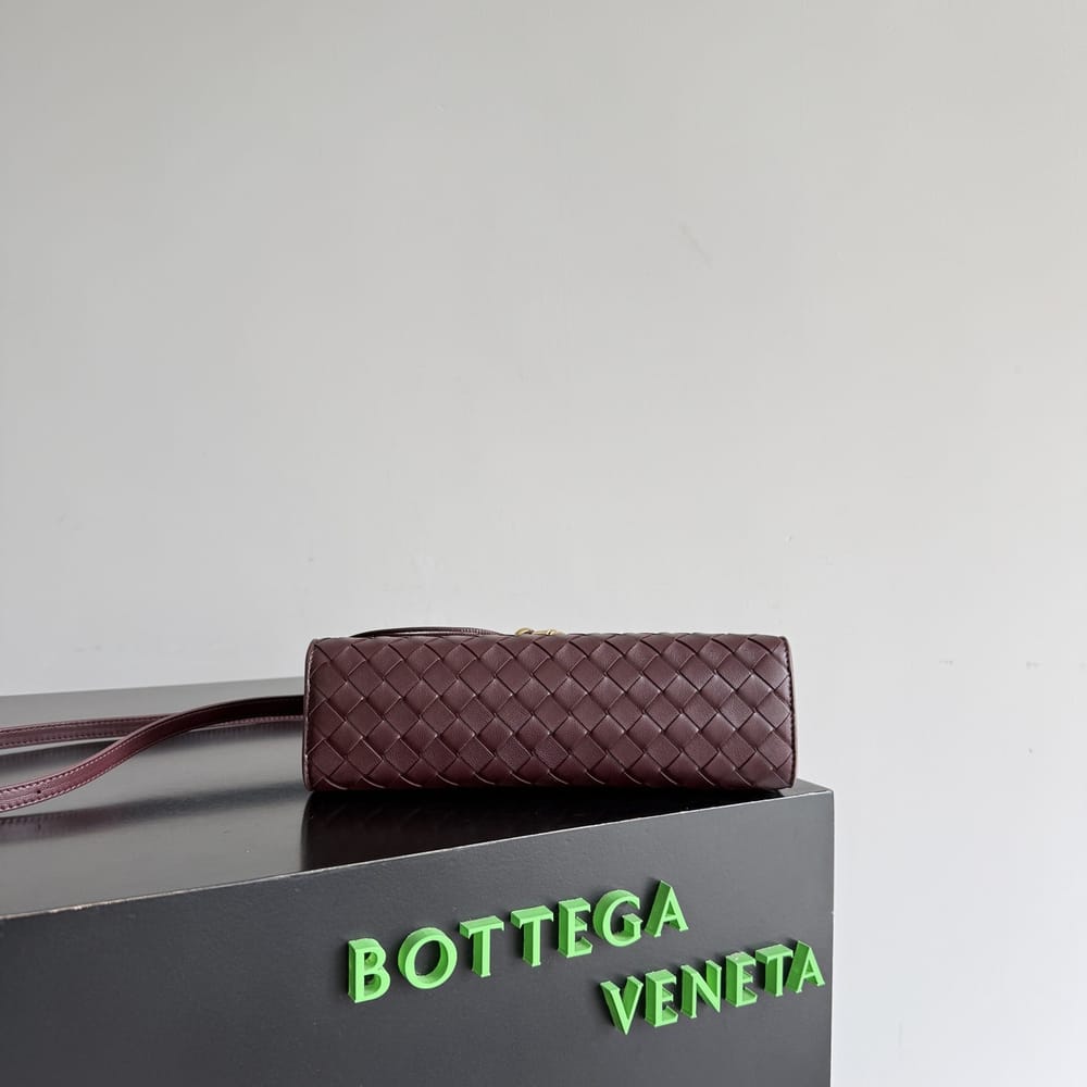 Bottega Veneta Andiamo Clutch 25