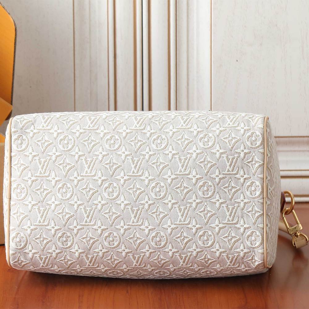 Louis Vuitton Speedy Soft 30
