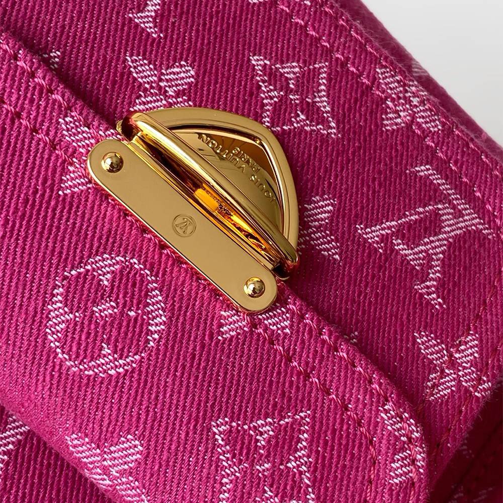 Louis Vuitton Baggy