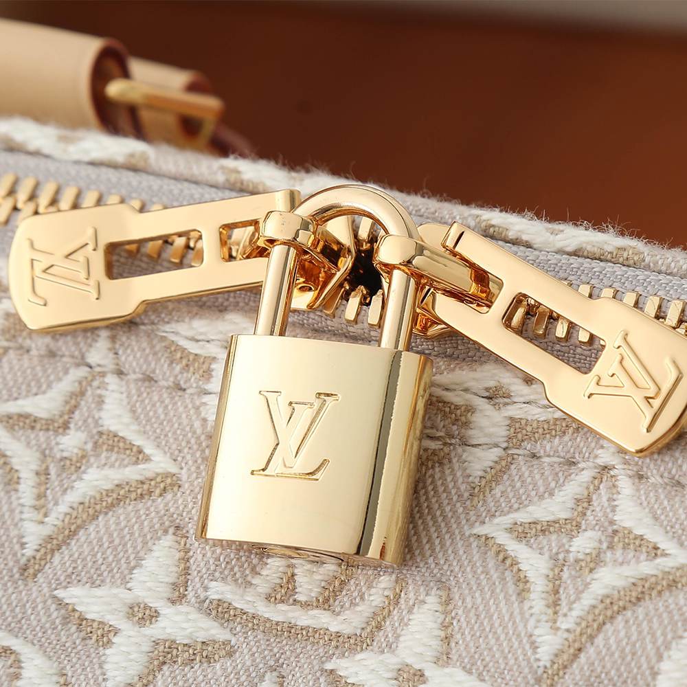 Louis Vuitton Speedy Soft 30