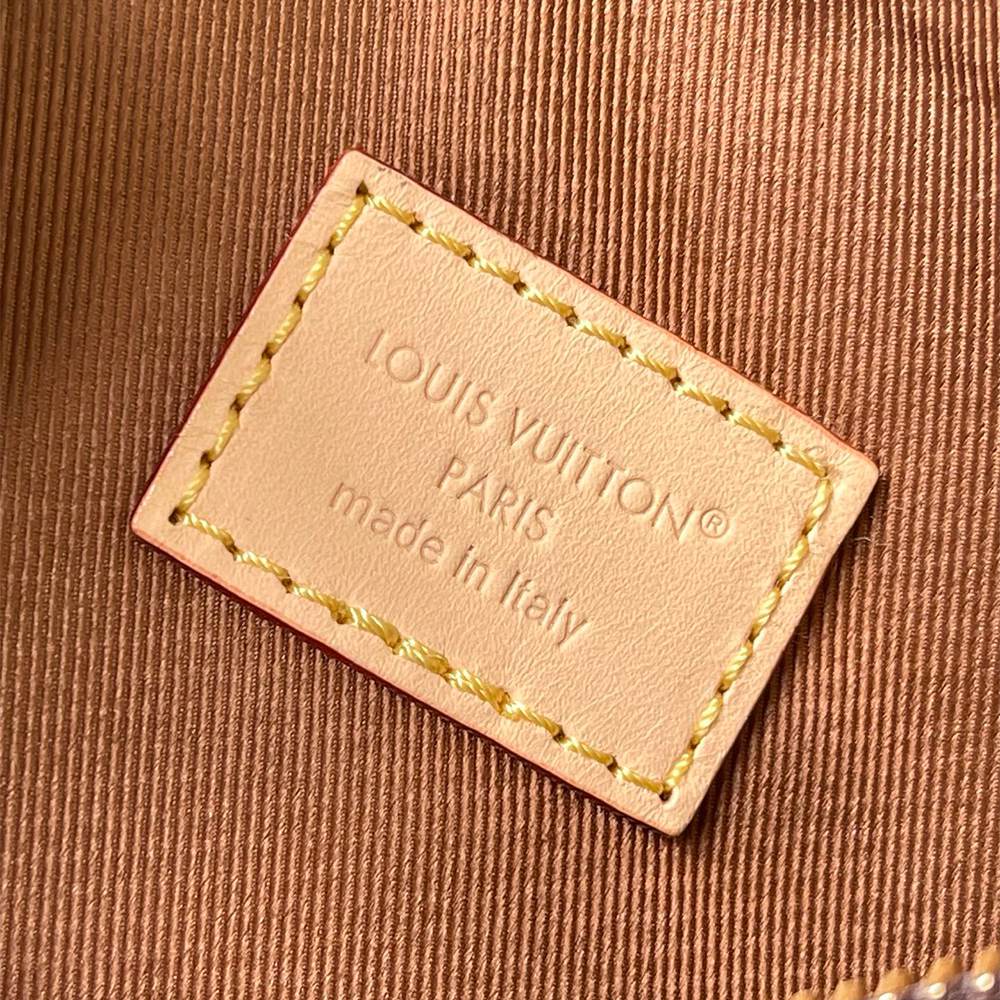 Louis Vuitton Multipass Mini