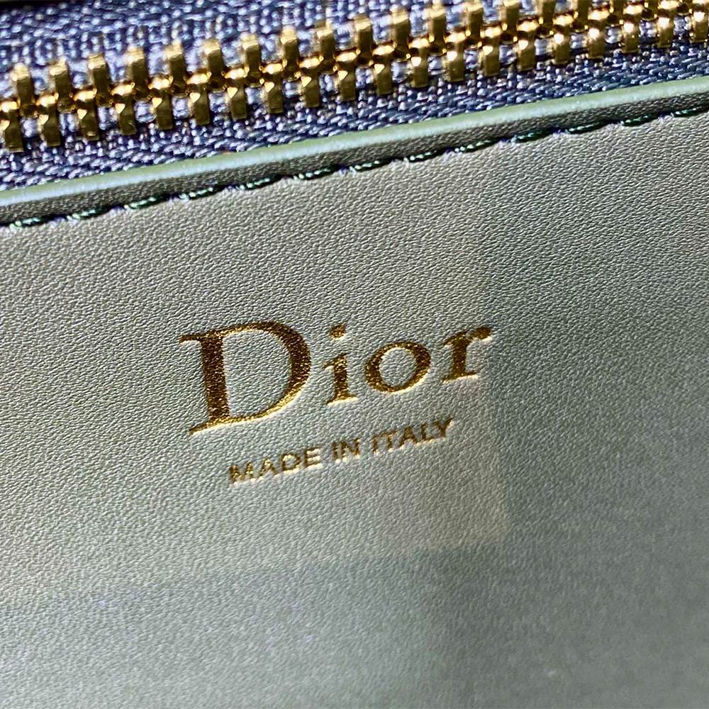 Medium Dior Médaillon