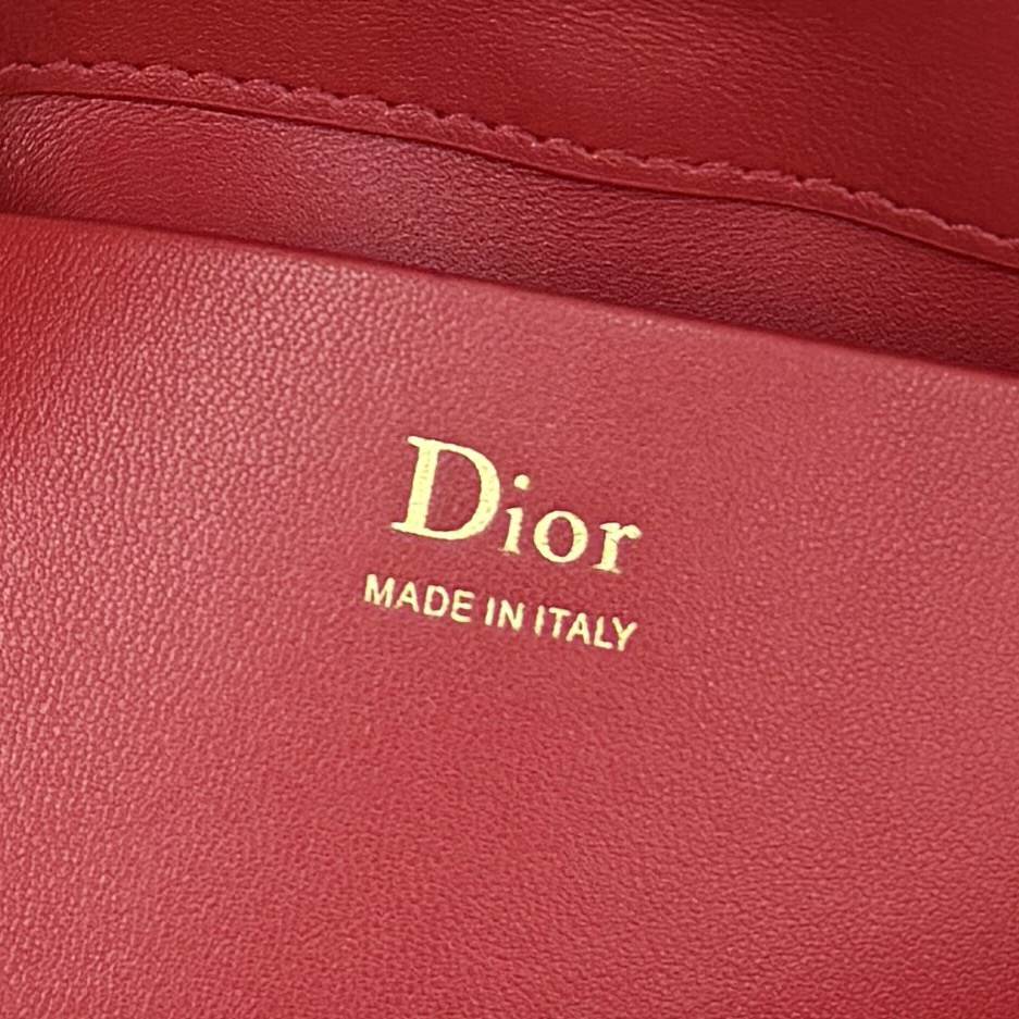 My Tender Dior Mini
