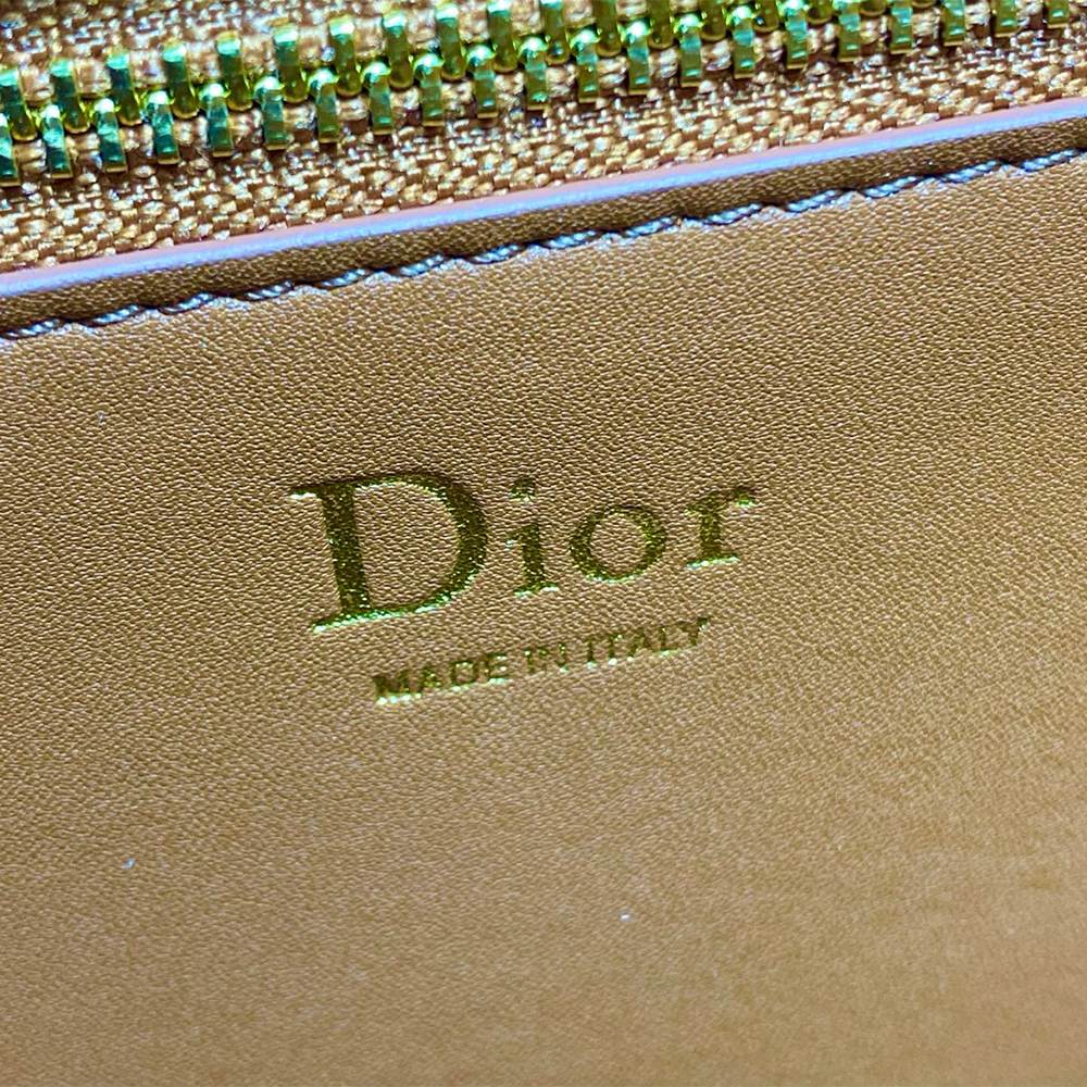 Medium Dior Médaillon