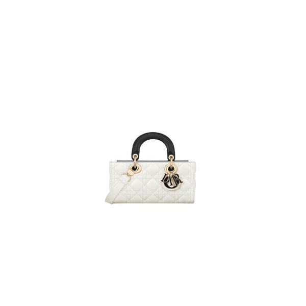 Dior Small Lady D-Joy