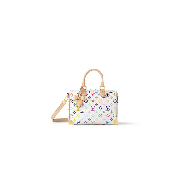 Louis Vuitton x TM Speedy 25