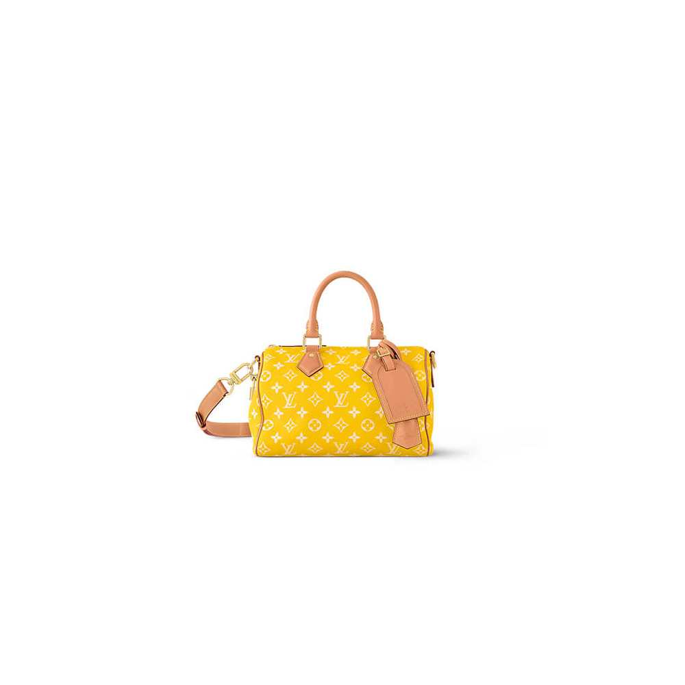 LV Speedy P9 Bandouliere 25(HIGH-END GRADE)