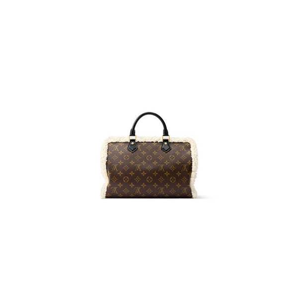 Louis Vuitton Speedy Soft 30 Teddy