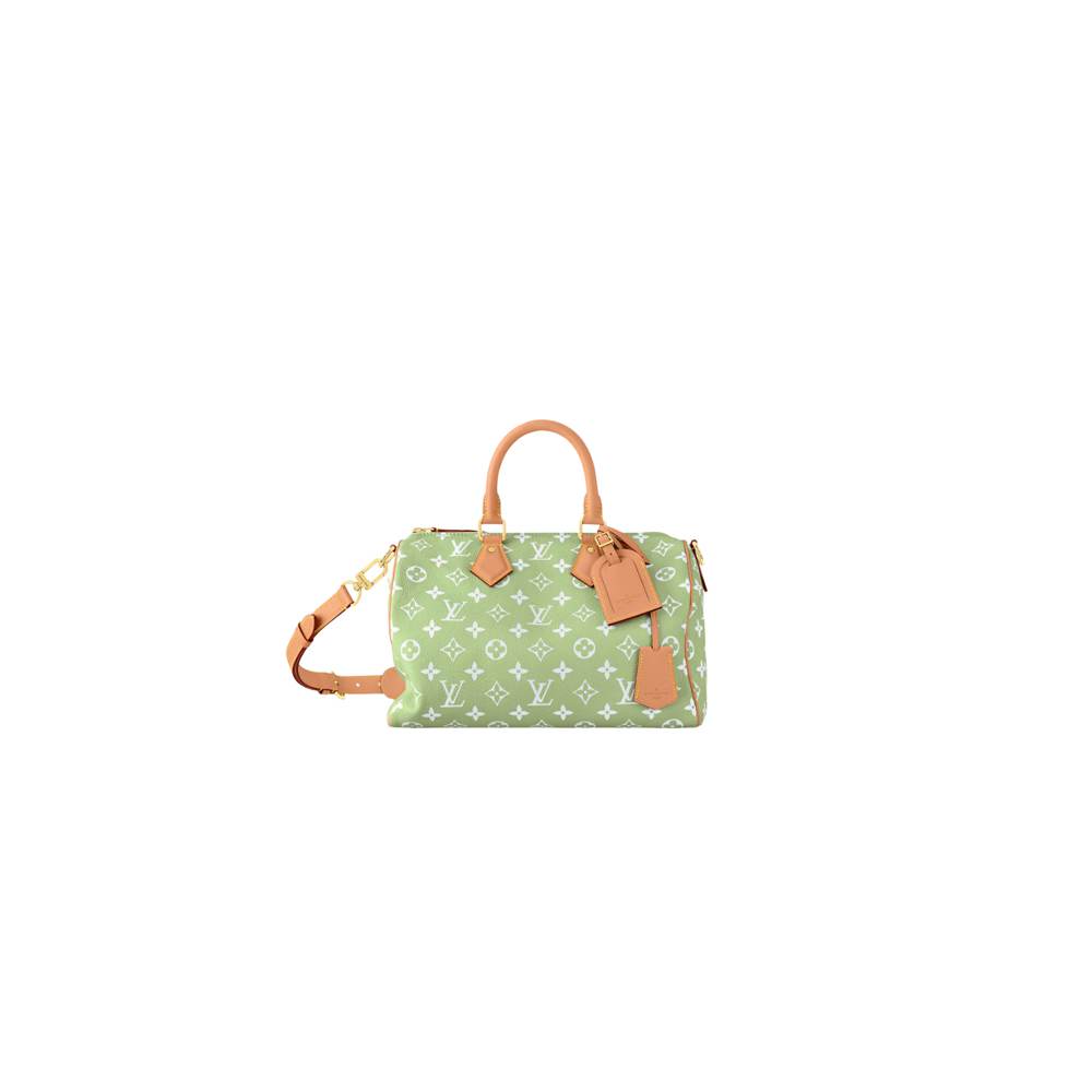 LV Speedy P9 Bandoulière 30(high-end grade)