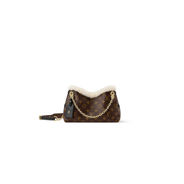 Louis Vuitton CarryAll BB
