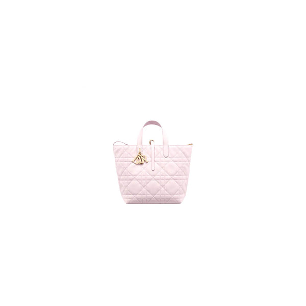 Dior Medium Toujours Vertical