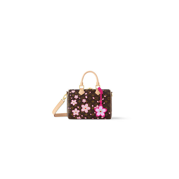 Louis Vuitton x TM Speedy 25