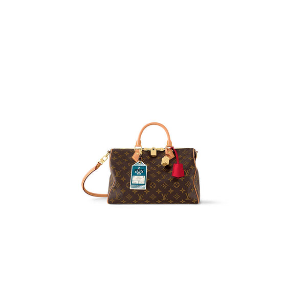 Louis Vuitton Speedy Soft 30