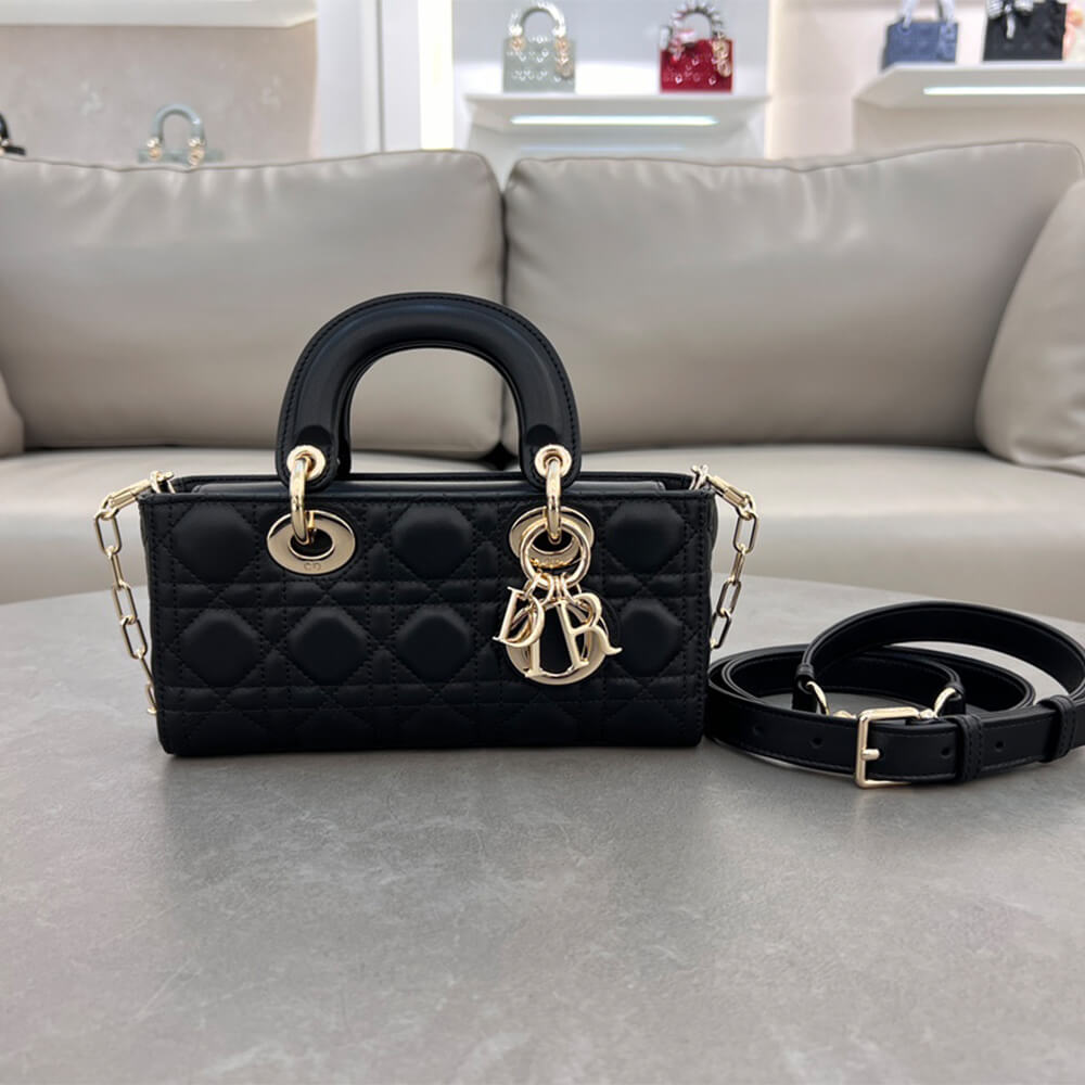 Dior Small Lady D-Joy