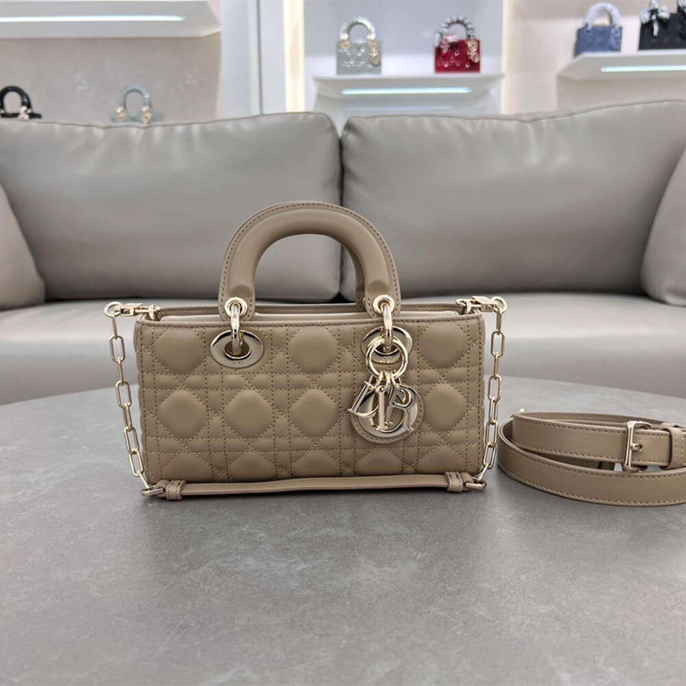 Dior Small Lady D-Joy