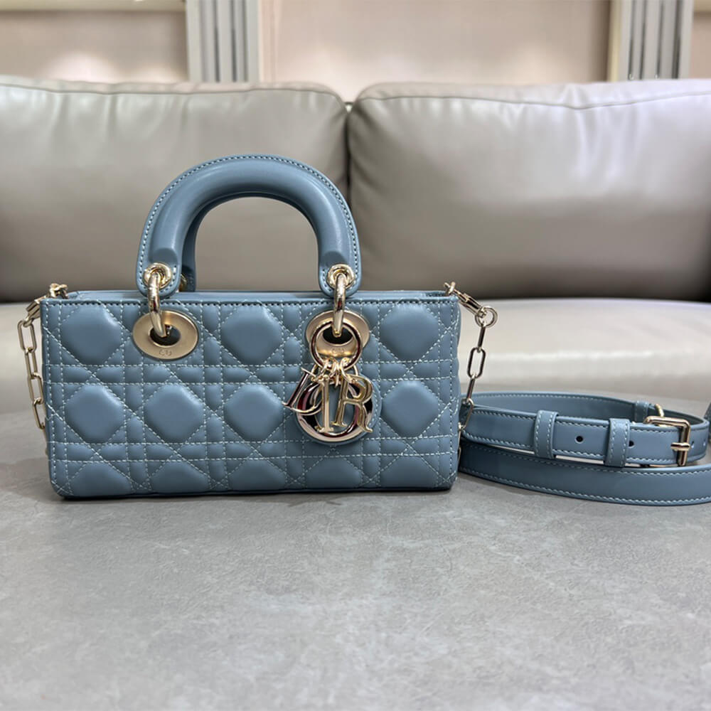 Dior Small Lady D-Joy