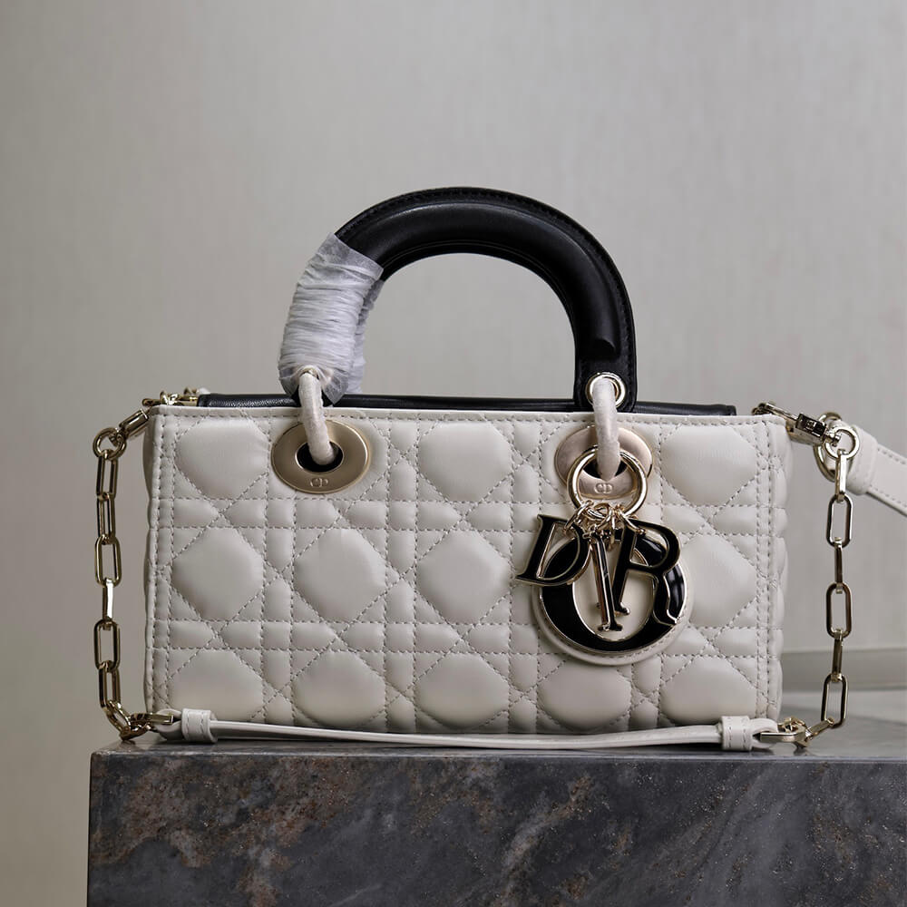 Dior Small Lady D-Joy