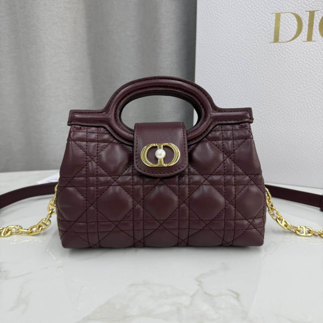 Dior Jolie Top Handle Mini