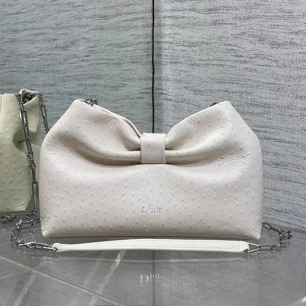 Medium Dior Bow Bag