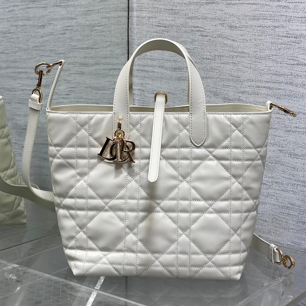 Dior Medium Toujours Vertical