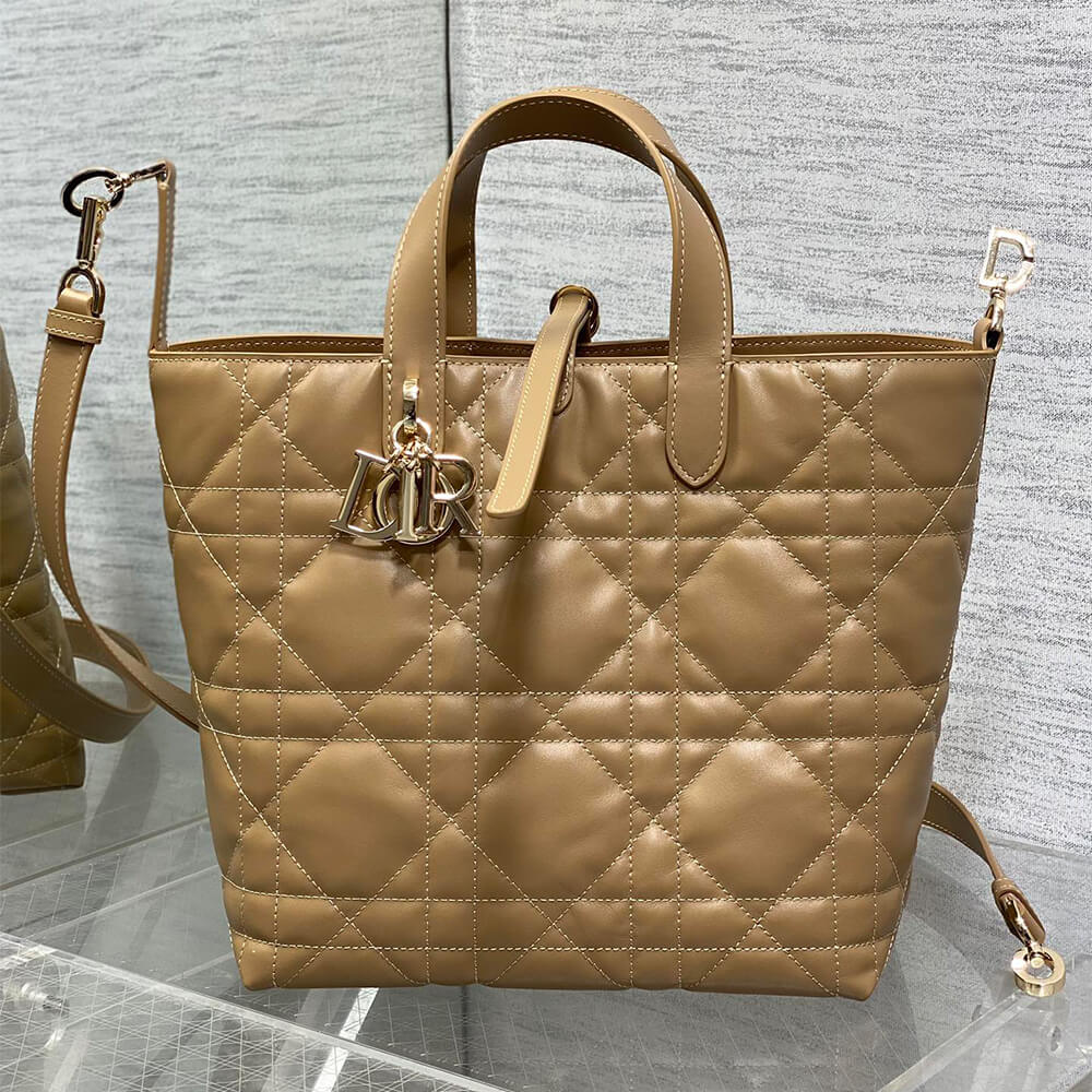 Dior Medium Toujours Vertical