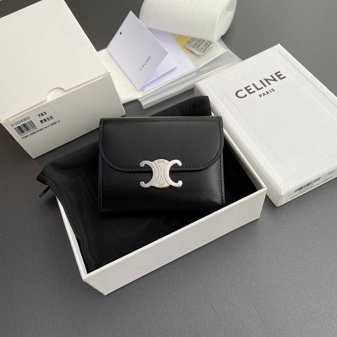 Celine Small Flap Wallet Triomphe