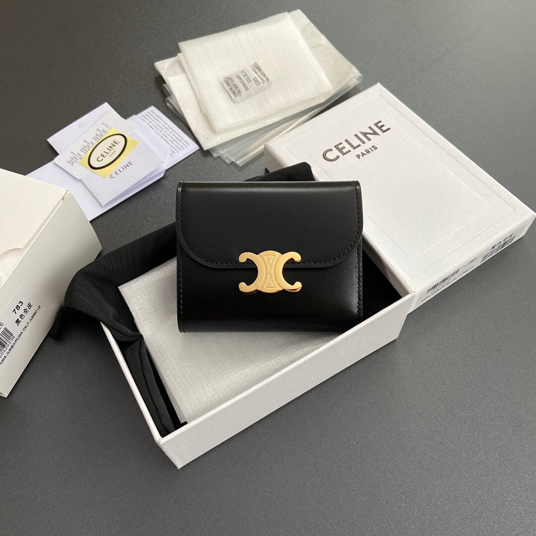 Celine Small Flap Wallet Triomphe