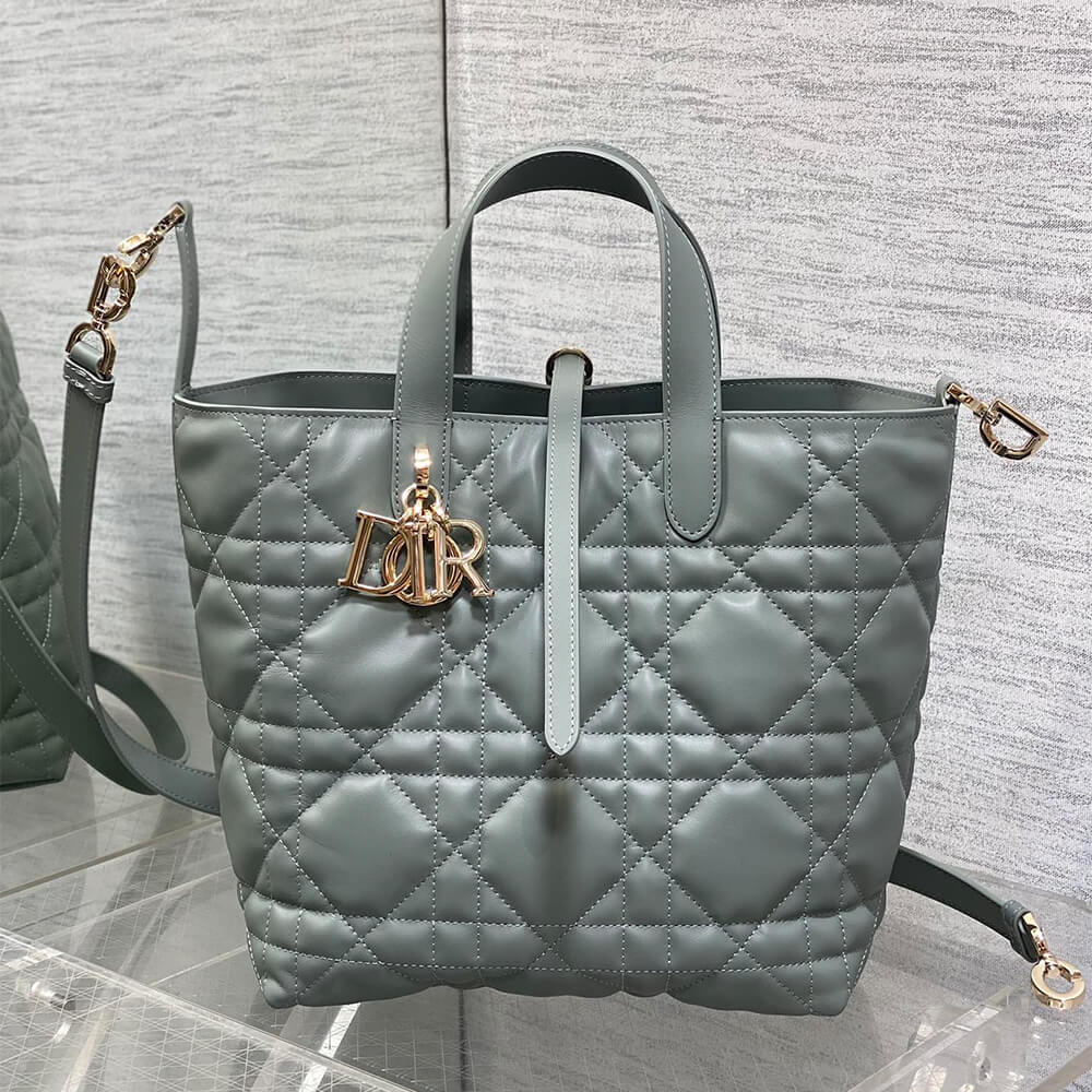 Dior Medium Toujours Vertical