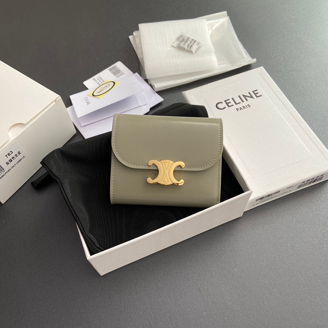 Celine Small Flap Wallet Triomphe