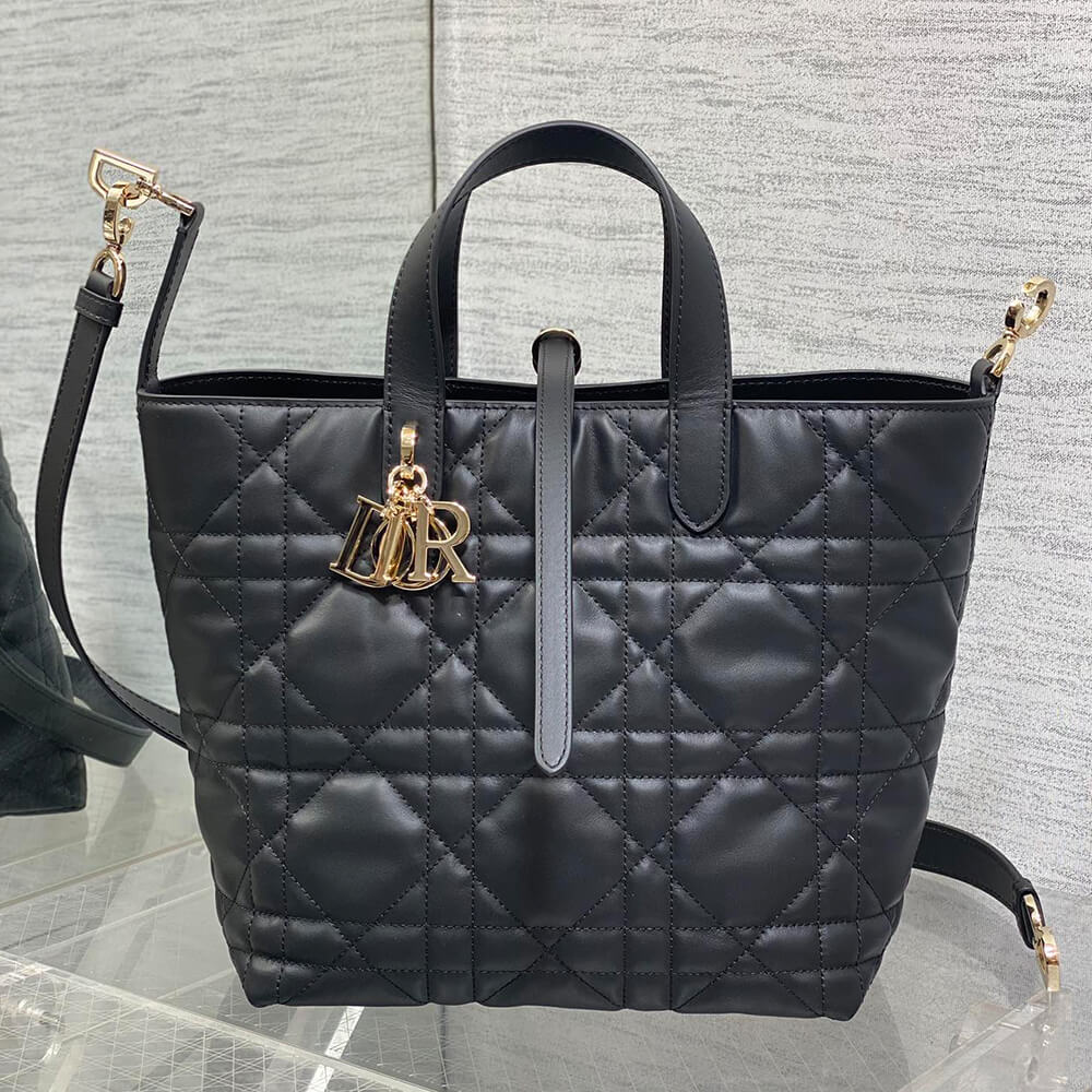 Dior Medium Toujours Vertical