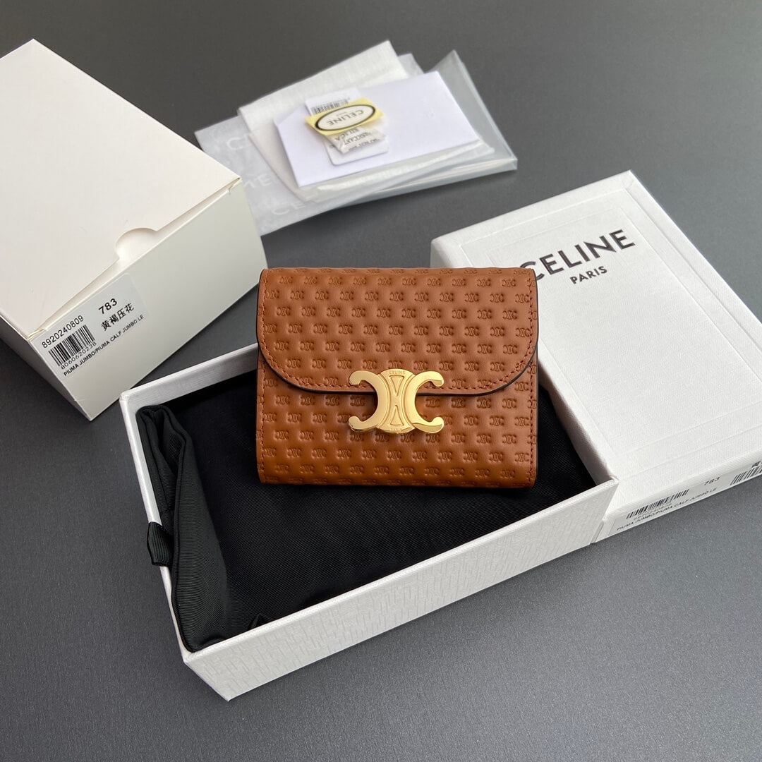 Celine Small Flap Wallet Triomphe