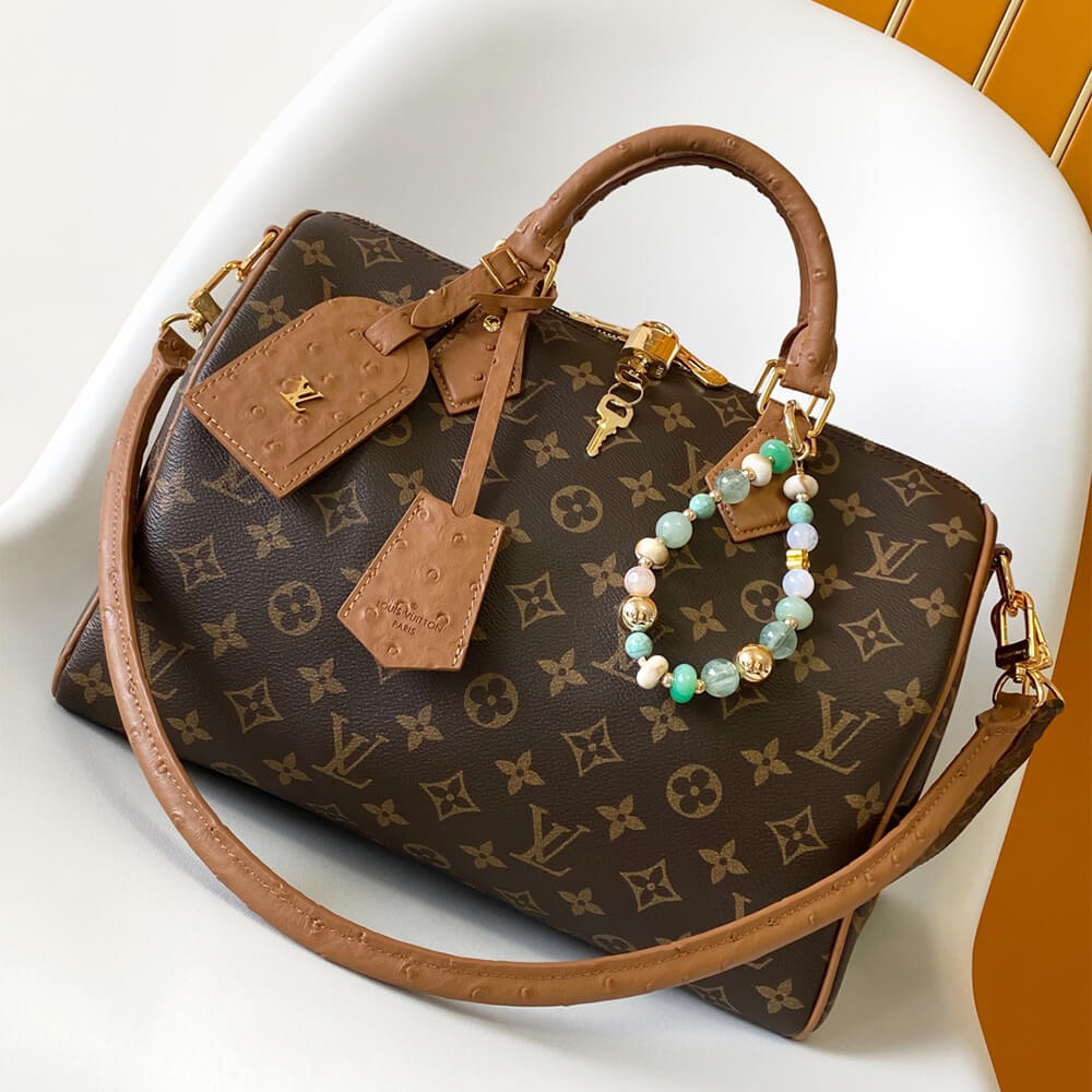 Louis Vuitton Speedy Soft 30