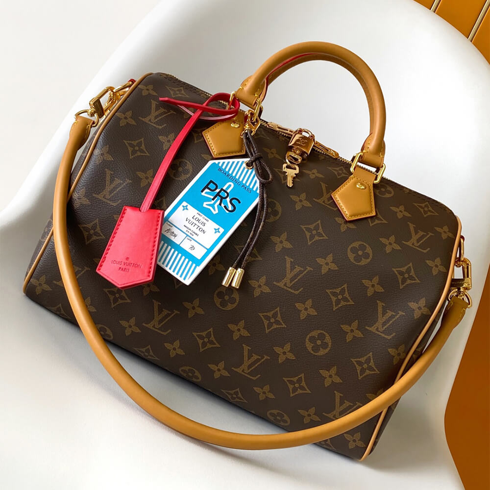Louis Vuitton Speedy Soft 30