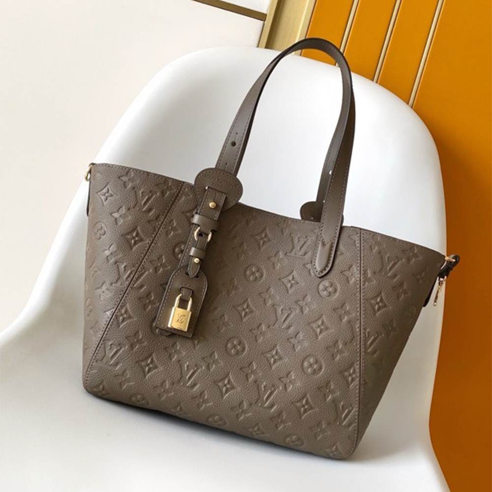 Louis Vuitton All In One PM