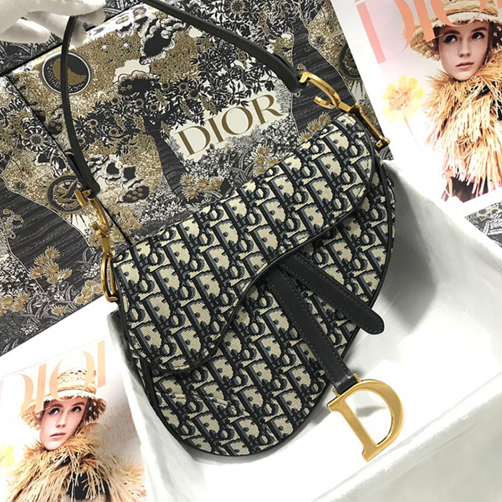 Dior Saddle