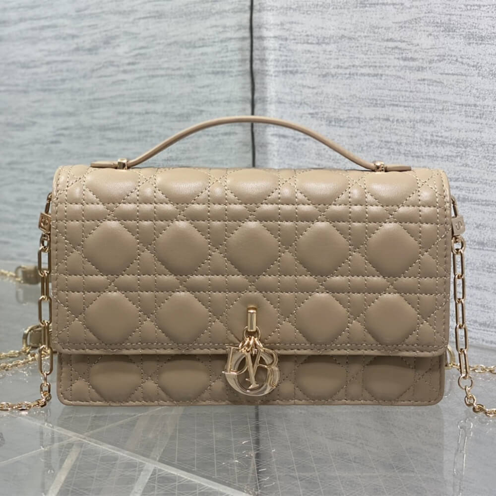 My Dior Top Handle Bag