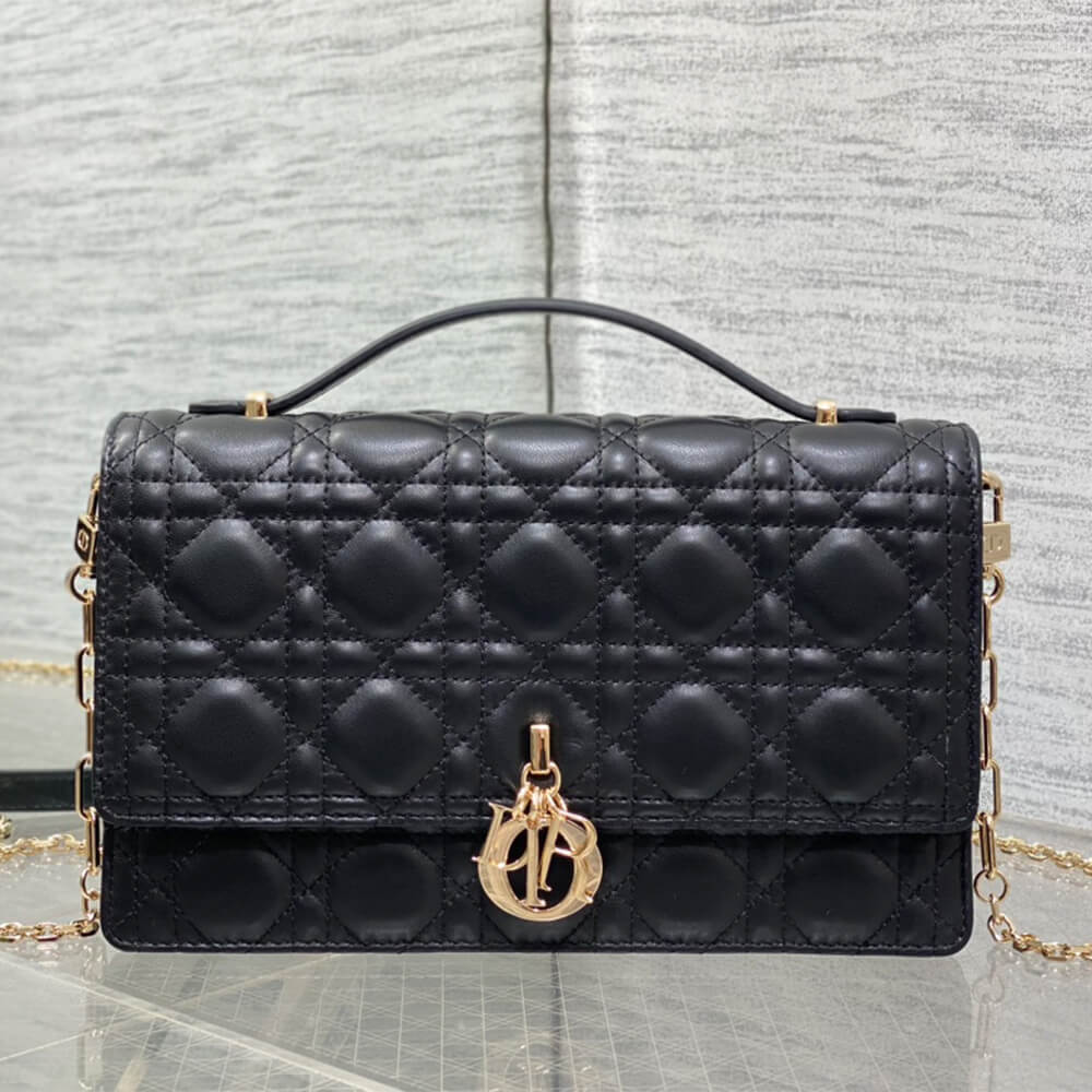 My Dior Top Handle Bag