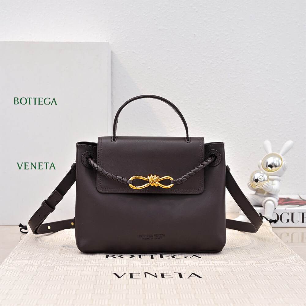 Bottega Veneta Small Ciao Ciao(high-end grade)