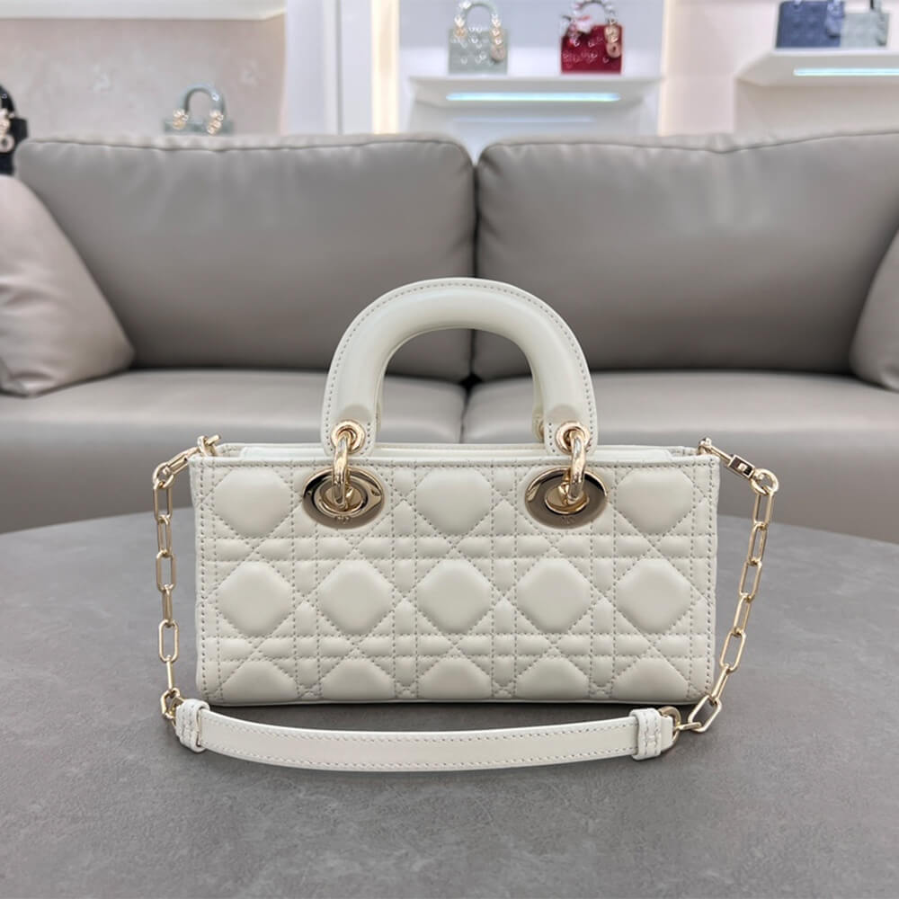 Dior Small Lady D-Joy