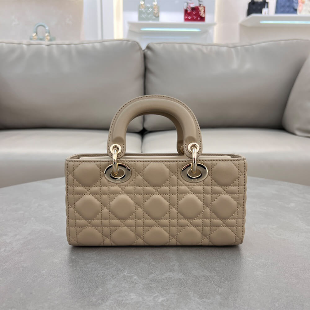 Dior Small Lady D-Joy