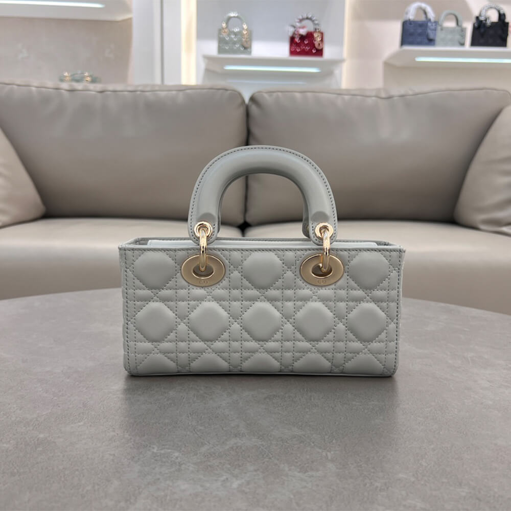 Dior Small Lady D-Joy