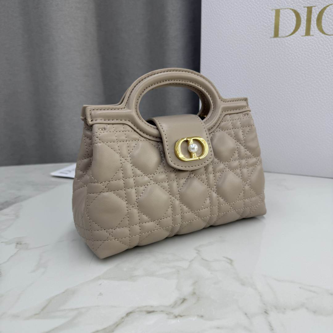 Dior Jolie Top Handle Mini