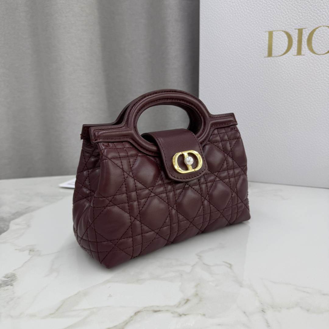 Dior Jolie Top Handle Mini