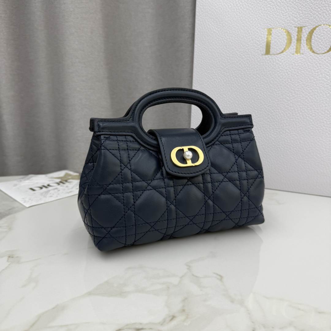 Dior Jolie Top Handle Mini